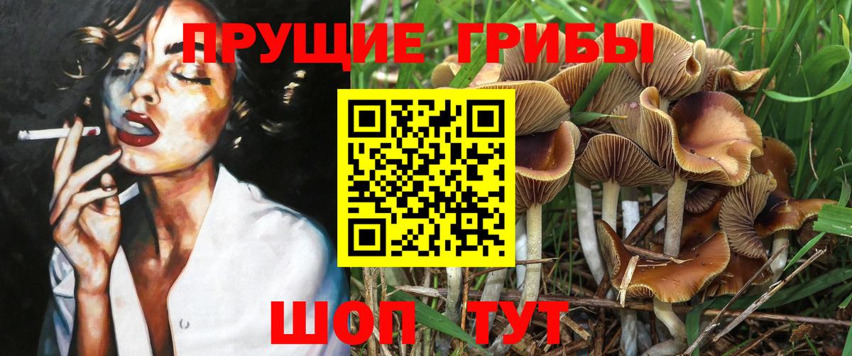 Галлюциногенные грибы Cubensis Сухой Лог
