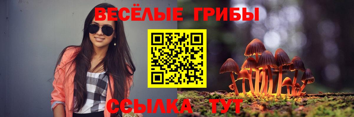 Псилоцибиновые грибы Psilocybine cubensis  Вход с VPN  Сухой Лог  Галлюциногенные грибы MAGIC MUSHROOMS 
